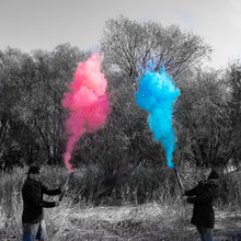 Load image into Gallery viewer, biodegradable gender reveal cannon, pink or blue