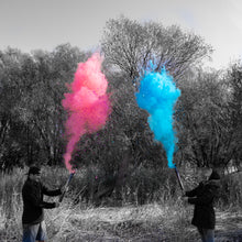 Load image into Gallery viewer, biodegradable gender reveal cannon, pink or blue
