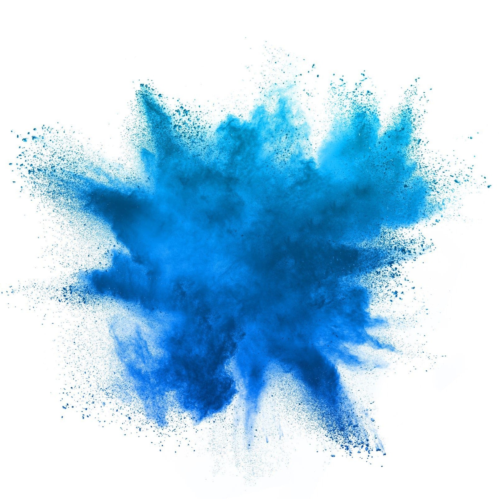 Blue Gender Reveal Holi Color Powder